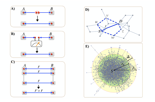 Entanglement Topography Of Large-scale Quantum Networks | OIST Groups